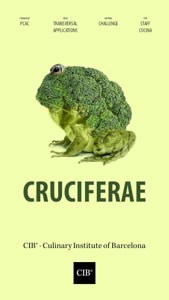 Sesión Culinary Institute of Barcelona Cartel sesión Culinary institute of Barcelona.